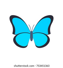 Butterfly with blue wings