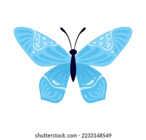 mariposa con insecto de alas azules