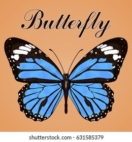 Butterfly with blue wings and space for text, view from above, isolated on orange background. Vector illustration, banner, card, poster, flyer