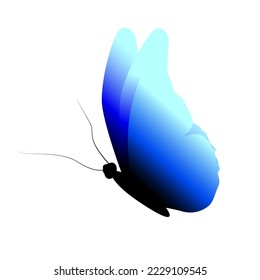 Butterfly with blue wings vector icon. Butterfly doll with a halftone effect on the wings. Vector illustration.