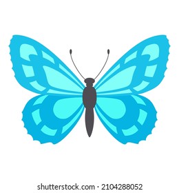 Mariposa con alas azules. Ilustración vectorial. Hermosas alas con un patrón.
