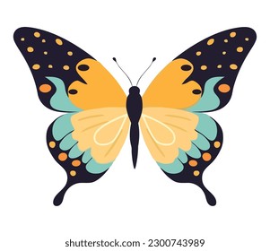 Butterfly in bright multi colored vector pattern icon isolated