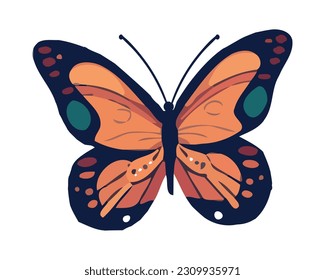 Butterfly in bright orange, flying beauty isolated