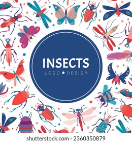 Butterfly, Bug and Beetle Banner Design Vector Template