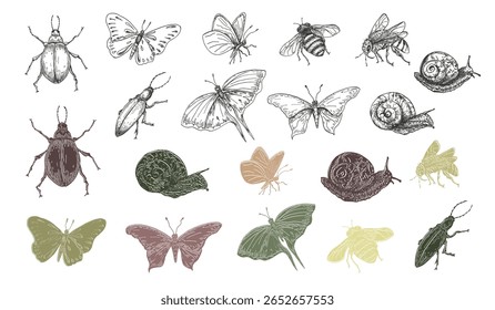 Butterfly, bugs, bee and snail outline vector clipart hand drawn. Silhouette of insects in soft green and red colors. Beautiful insects clipart for design nature journals, fabrics, and scrapbooking.