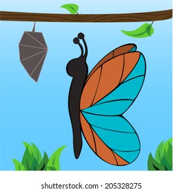 Butterfly cartoon