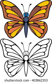 butterfly  cartoon