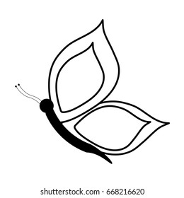 butterfly cartoon icon image 