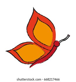 butterfly cartoon icon image 