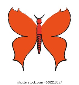 butterfly cartoon icon image 