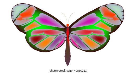 butterfly cartoon, vector art illustration