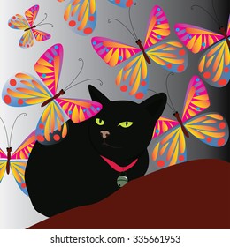 Butterfly cat