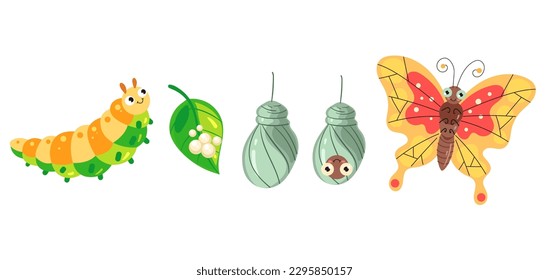 Butterfly caterpillar life cycle insect tree isolated concept. Vector graphic design illustration