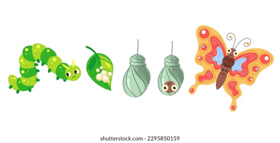 Butterfly caterpillar life cycle insect tree isolated concept. Vector graphic design illustration