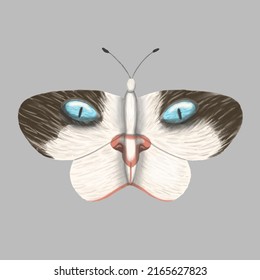 Butterfly cat's eye isolated gray background  Vector illustration