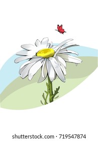 Butterfly and chamomile 