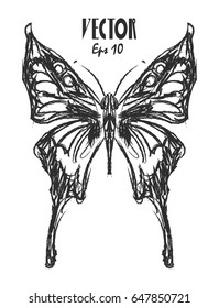 Butterfly charcoal vector eps 10 design. Handmade illustration