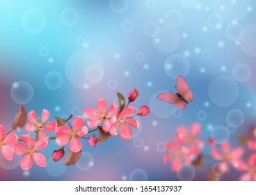 Butterfly and cherry blossoms with bokeh effect