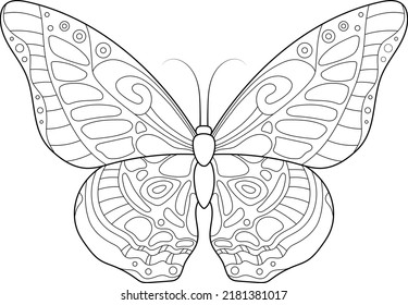 mariposa, libro de coloración infantil, vector