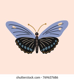 Butterfly clip art design vector vintage illustration