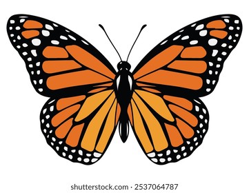 Butterfly Clipart With White Background