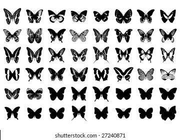 Butterfly Collection