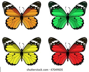 butterfly collection