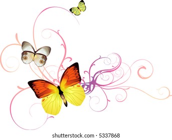 colección de mariposas