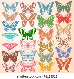 Butterfly Collection