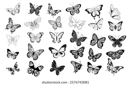 Butterfly collection. Beautiful nature flying insect drawing, exotic black butterflies with funny wings pictures