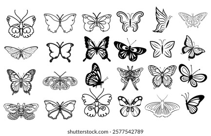 Butterfly collection. Beautiful nature flying insect drawing, exotic black butterflies with funny wings pictures