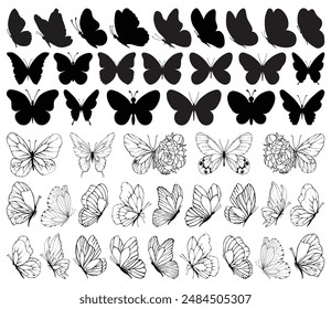 Butterfly collection. Black white illustration. Butterflies clipart set.Set of black and white line butterflies.Baby shower design elements. Party invitation, birthday celebration. Spring,summer decor