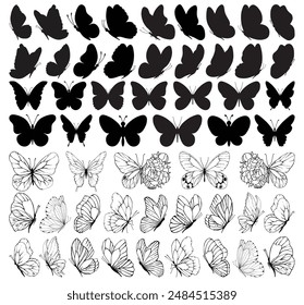 Butterfly collection. Black white illustration. Butterflies clipart set.Set of black and white line butterflies.Baby shower design elements. Party invitation, birthday celebration. Spring,summer decor