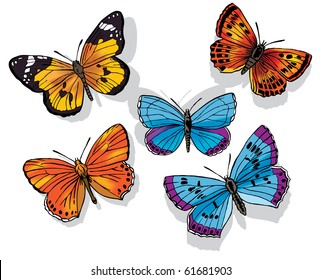 Butterfly Collection - editable vector art