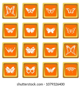 Butterfly collection icons set vector orange square isolated on white background 