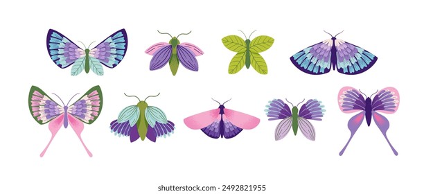 Butterfly collection. Set of different colorful butterflies. Vector illustration