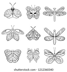 Butterfly collection. Stylish ink drawn insect, fancy moth. Black line fauna motiv. Wildlife vintage