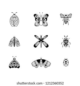 Butterfly collection. Stylish ink drawn insect, fancy moth. Black line fauna motiv. Wildlife vintage