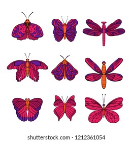 Butterfly collection. Stylish ink drawn insect, fancy moth. Black line fauna motiv. Wildlife vintage