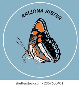 Colección de mariposa, ilustraciones vectoriales