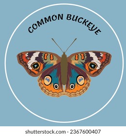 Butterfly collection, vector illustration art