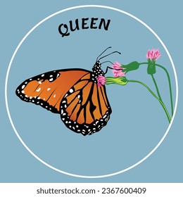 Butterfly collection, vector illustration art