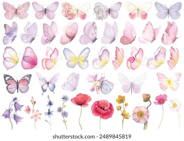 Butterfly collection. Watercolor illustration. Butterflies clipart set. Baby shower design elements. Party invitation, birthday celebration. Spring, summer decoration. Pink yellow color meadow flowers