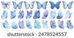 Butterfly collection. Watercolor illustration. Colorful Butterflies clipart set. Baby shower design elements. Party invitation, birthday celebration. Spring, summer decoration. Blue navy color vector