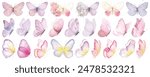 Butterfly collection. Watercolor illustration. Colorful Butterflies clipart set. Baby shower design elements. Party invitation, birthday celebration. Spring, summer decoration. Pink yellow red flowers