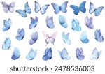 Butterfly collection. Watercolor illustration. Colorful Butterflies clipart set. Baby shower design elements. Party invitation, birthday celebration. Spring, summer decoration. Blue navy color palette