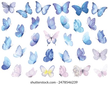 Butterfly collection. Watercolor illustration. Colorful Butterflies clipart set. Baby shower design elements. Party invitation, birthday celebration. Spring, summer decoration. Blue navy color palette