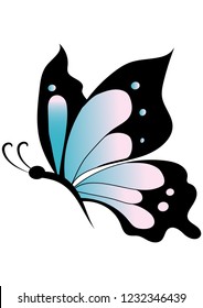 butterfly color, insect, vector
