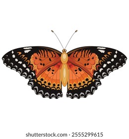 Butterfly color isolated , for collage and embroidery. Vector illustration.