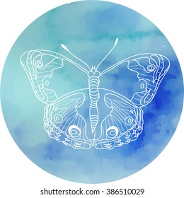 butterfly color pattern illustration vector  nature